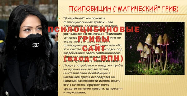 винт Верея